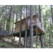 Vertical Horizons Tree-house Paradise For Your Nesting Vertical Horizons Tree-house Paradise For Your Nesting