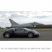 Bugatti Veyron Driver Goes Crazy Bugatti Veyron Driver Goes Crazy