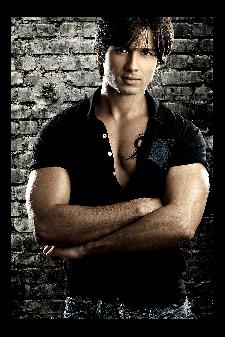 Shahid reveals his ideal girl!