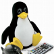 Top 5 Free Linux Distributions for Servers in 2010
