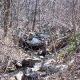 Brandy Car Accident: Four Hospitalized