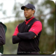 Watson, Johnson make first Ryder Cup team