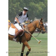 Prince Harry Plays Polo